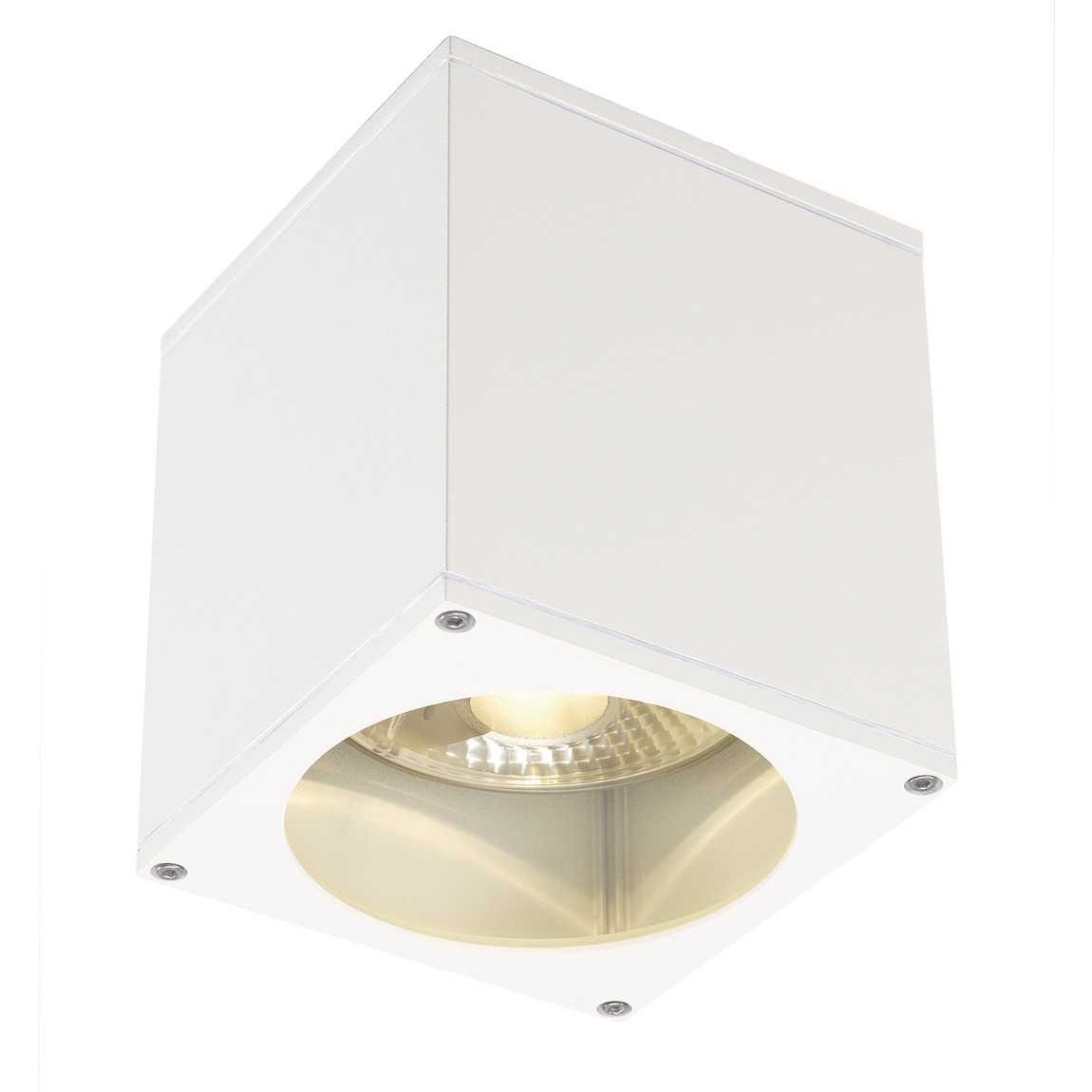 SLV 229551 BIG THEO CEILING OUT светильник потолочный IP44 для лампы ES111 75Вт макс., белый