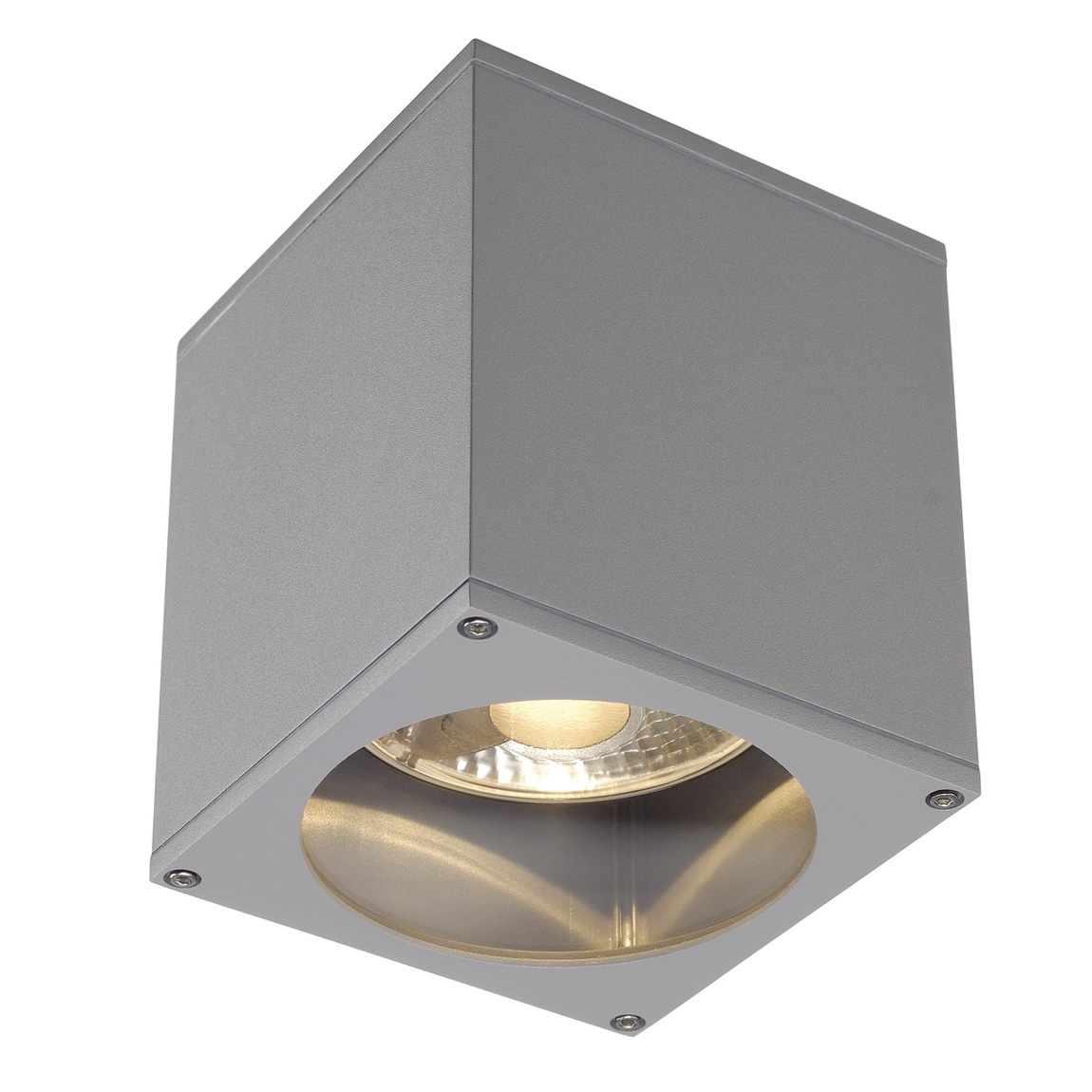 SLV 229554 BIG THEO CEILING OUT светильник потолочный IP44 для лампы ES111 75Вт макс., серебристый