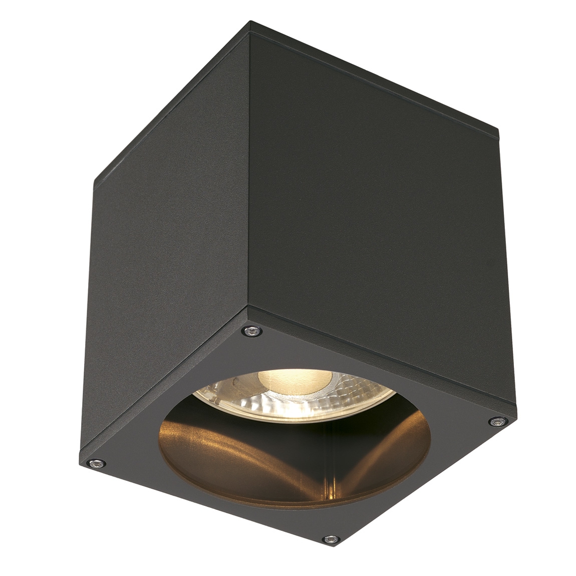 SLV 229555 BIG THEO CEILING OUT светильник потолочный IP44 для лампы ES111 75Вт макс., антрацит