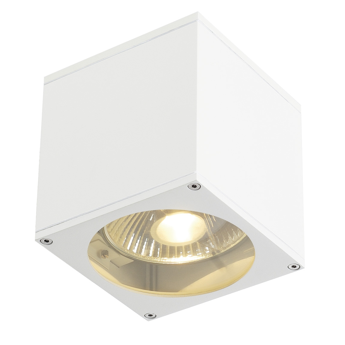 SLV 229561 BIG THEO WALL OUT светильник настенный IP44 для лампы ES111 75Вт макс., белый