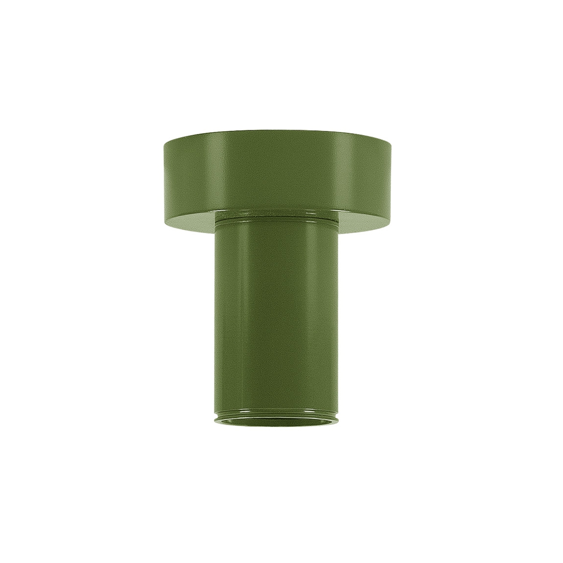 SLV 132645 FITU CL светильник потолочный для лампы E27 60Вт макс., папоротниковый RAL6025