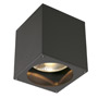 SLV 229555 BIG THEO CEILING OUT светильник потолочный IP44 для лампы ES111 75Вт макс., антрацит